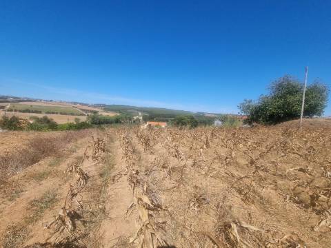 Terreno Urbanizável com 1.880 m² | Excelente Oportunidade em Campelos - Torres Vedras