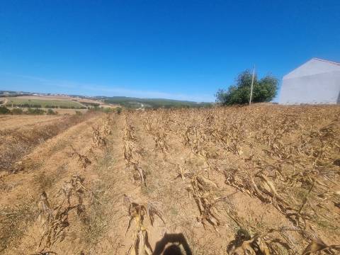 Terreno Urbanizável com 1.880 m² | Excelente Oportunidade em Campelos - Torres Vedras