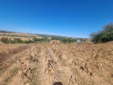 Terreno Urbanizável com 1.880 m² | Excelente Oportunidade em Campelos - Torres Vedras