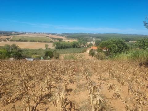 Terreno Urbanizável com 1.880 m² | Excelente Oportunidade em Campelos - Torres Vedras