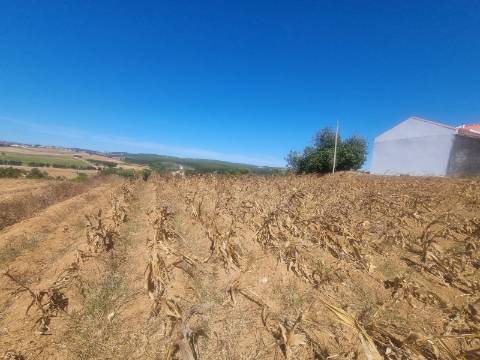 Terreno Urbanizável com 1.880 m² | Excelente Oportunidade em Campelos - Torres Vedras