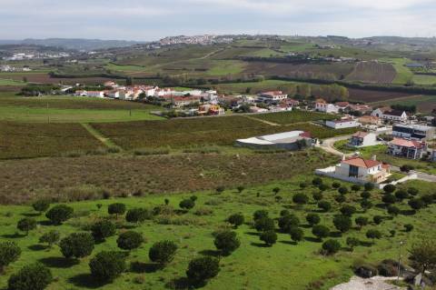 Lote Terreno