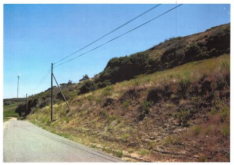 Terreno_Investimento_Vitivinicola_Torres Vedras