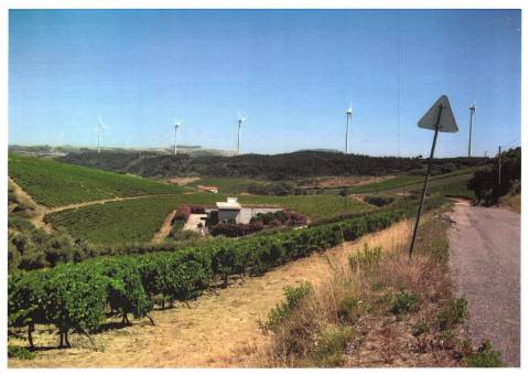 Terreno_Investimento_Vitivinicola_Torres Vedras