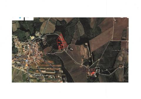 Terreno_Investimento_Vitivinicola_Torres Vedras