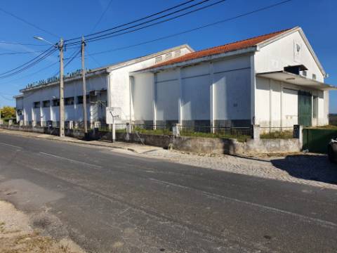 Espaço industrial adaptável a diferentes usos.