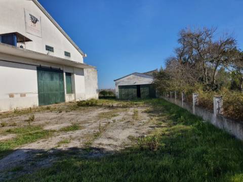 Espaço industrial adaptável a diferentes usos.