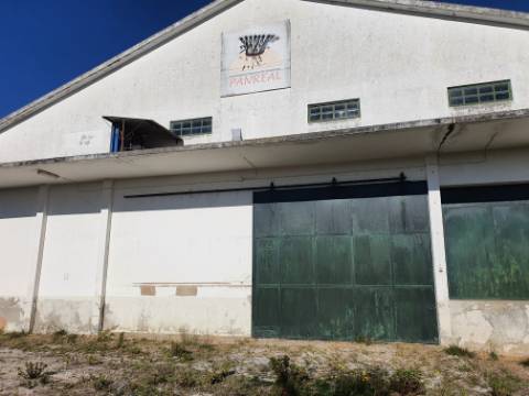 Espaço industrial adaptável a diferentes usos.