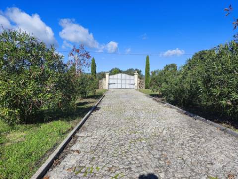 Herdade em Juncais com Alvará de Alojamento Local | Oportunidade de Investimento Turístico
