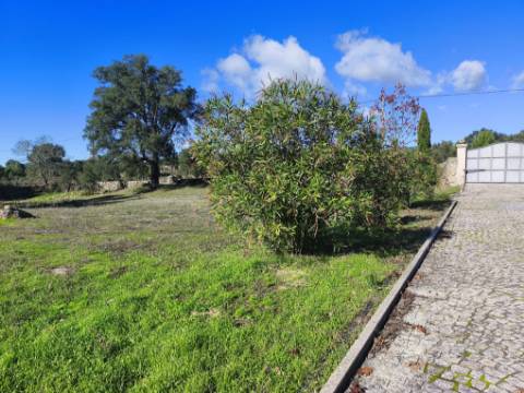 Herdade em Juncais com Alvará de Alojamento Local | Oportunidade de Investimento Turístico
