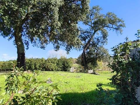 Herdade em Juncais com Alvará de Alojamento Local | Oportunidade de Investimento Turístico