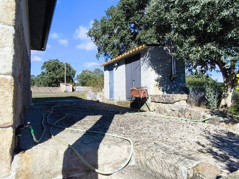 Herdade em Juncais com Alvará de Alojamento Local | Oportunidade de Investimento Turístico