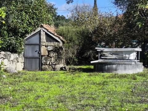 Herdade em Juncais com Alvará de Alojamento Local | Oportunidade de Investimento Turístico