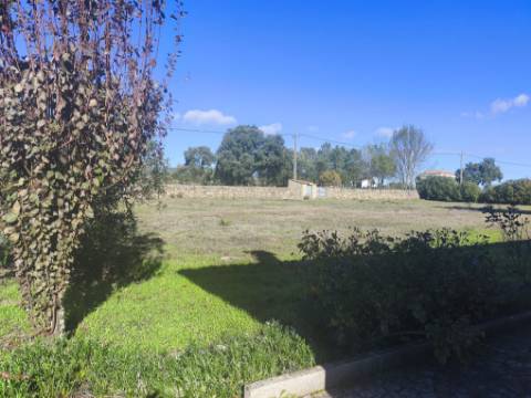 Herdade em Juncais com Alvará de Alojamento Local | Oportunidade de Investimento Turístico