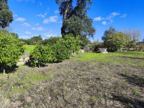 Herdade em Juncais com Alvará de Alojamento Local | Oportunidade de Investimento Turístico