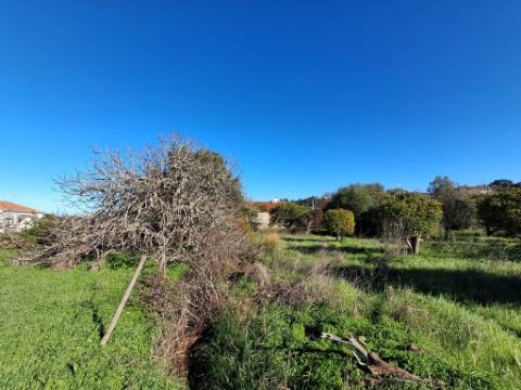 Moradia Térrea