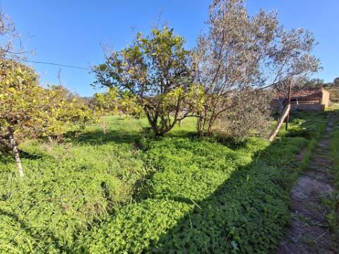 Moradia Térrea