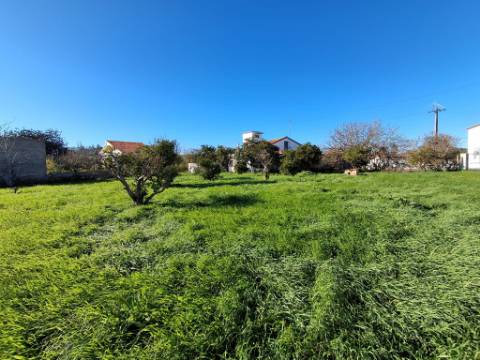 Moradia Térrea