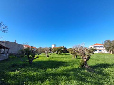 Moradia Térrea