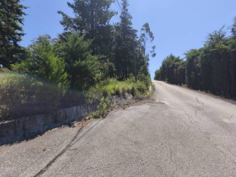 Terreno com PIP Aprovado para Construção de 5 Moradias - Cadaval