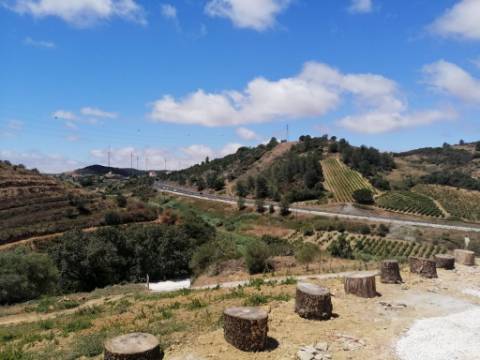 Propriedade ampla com casa para renovar 44.000 m2 Torres Vedras