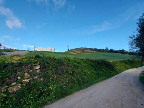 Propriedade ampla com casa para renovar 44.000 m2 Torres Vedras