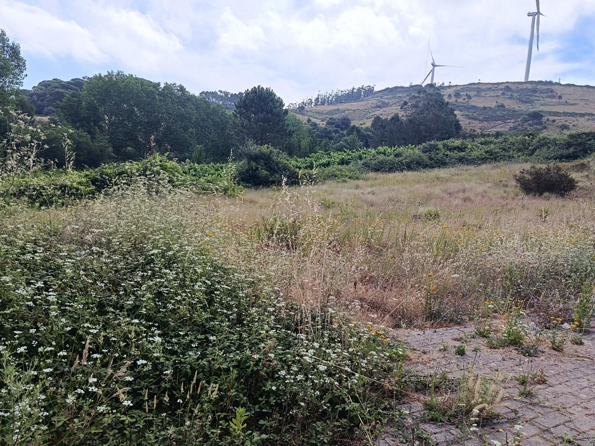 Oportunidade Única em Monte Redondo