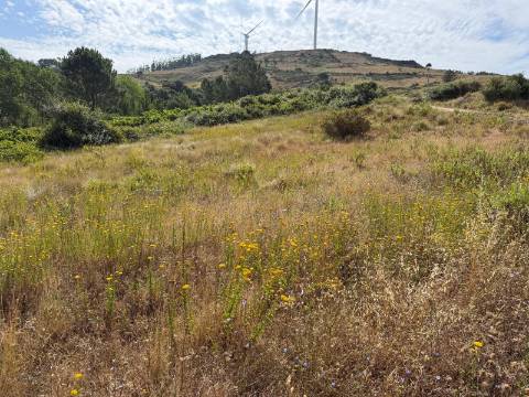 Oportunidade Única em Monte Redondo