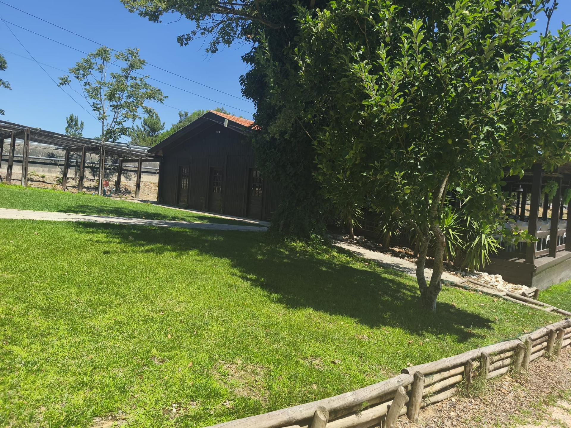Terreno com 5.080 m² e Ruína T2 | Junto à Barragem de Magos