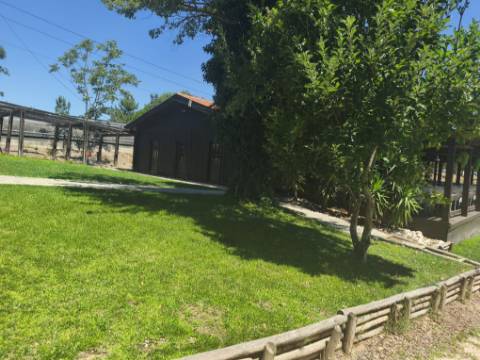 Terreno com 5.080 m² e Ruína T2 | Junto à Barragem de Magos