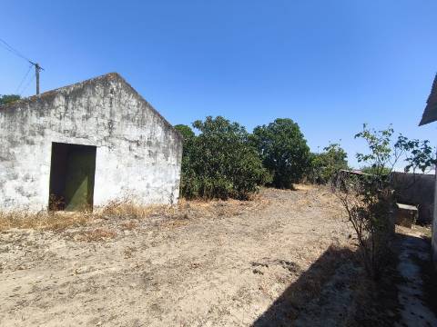 Terreno com 5.080 m² e Ruína T2 | Junto à Barragem de Magos