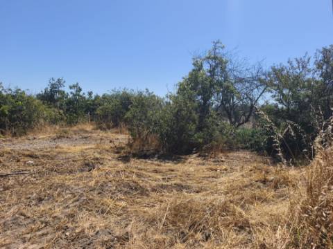 Terreno com 5.080 m² e Ruína T2 | Junto à Barragem de Magos