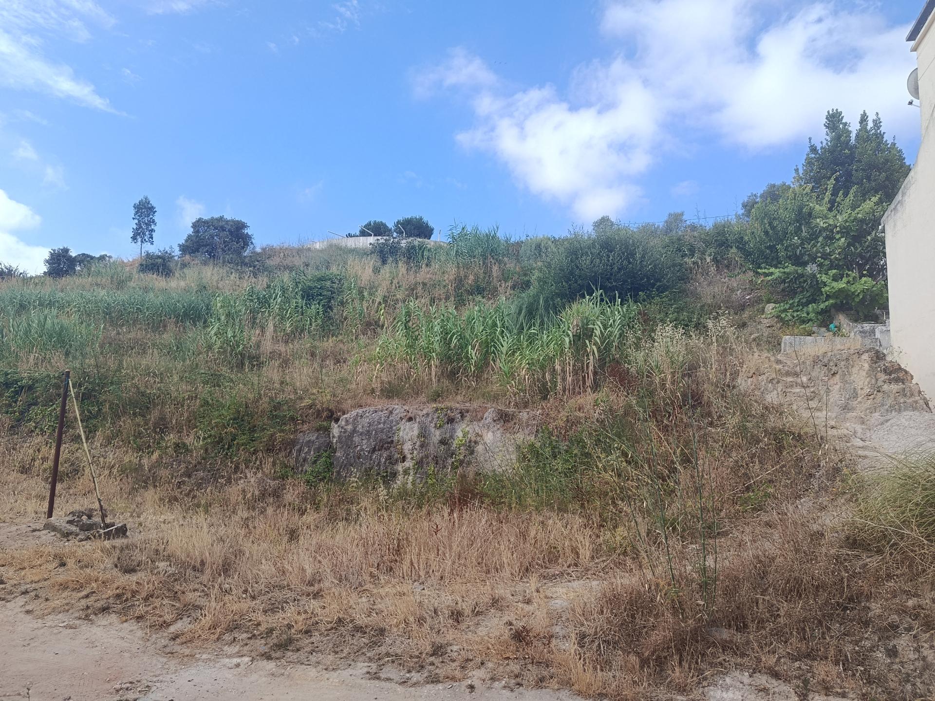 2 Terrenos Urbanos para Venda - Excelente Oportunidade em Torres Vedras3