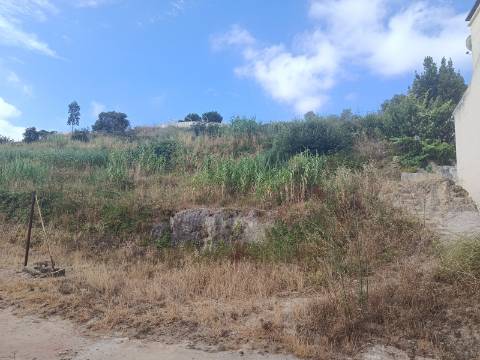 2 Terrenos Urbanos para Venda - Excelente Oportunidade em Torres Vedras3