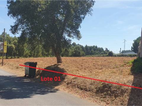Terreno para construção de moradia térrea