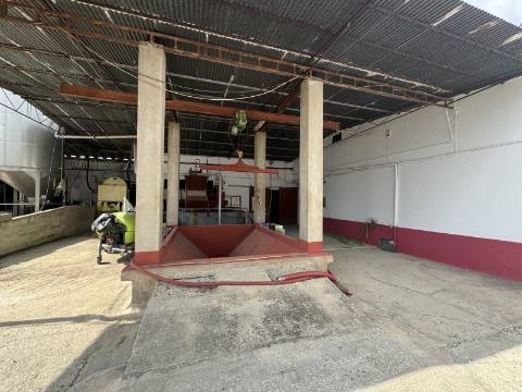 Adega em Fazendas de Almeirim