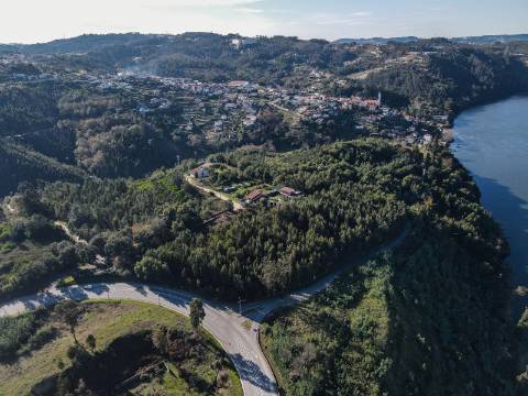 Fábrica com Terrenos em Crestuma