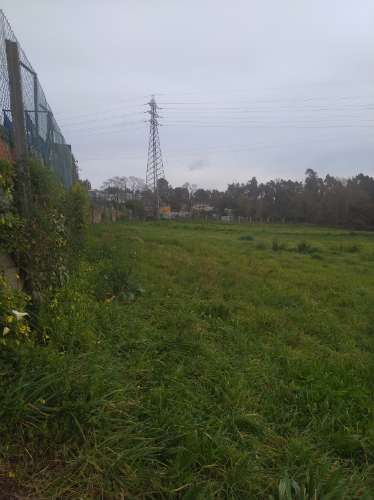 Terreno com uma área total de 5900m2 numa zona residencial em Pousadela, Nogueira da Regedoura.