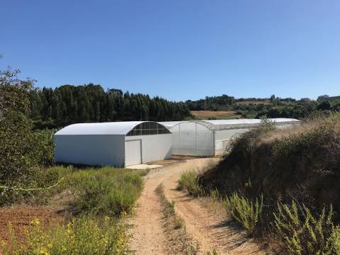 Terreno com estufa em Soure, Coimbra