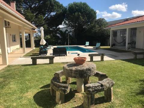 Quintinha da 'Estrada' e terreno com estufa em Soure, Coimbra