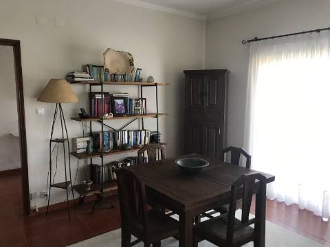 Quintinha da 'Estrada' e terreno com estufa em Soure, Coimbra