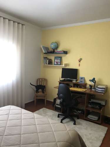 Quintinha da 'Estrada' e terreno com estufa em Soure, Coimbra