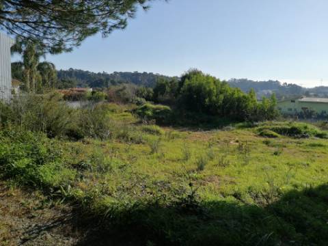 Terrenos (4 lotes) em Anta, Guetim, construa a sua moradia de sonho!