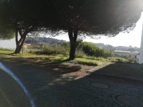 Terrenos (4 lotes) em Anta, Guetim, construa a sua moradia de sonho!
