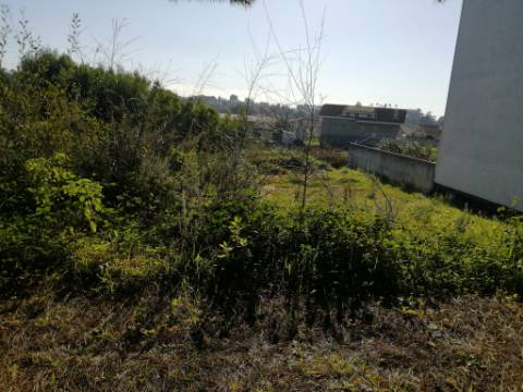 Terrenos (4 lotes) em Anta, Guetim, construa a sua moradia de sonho!