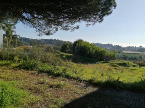Terrenos (4 lotes) em Anta, Guetim, construa a sua moradia de sonho!