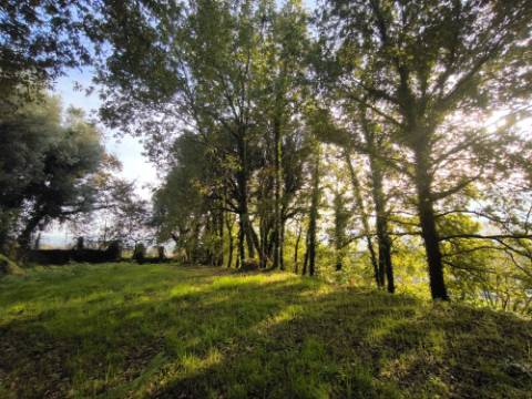 Terreno para construção
