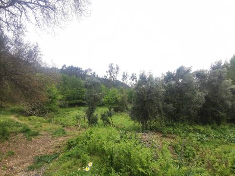 Moradia Anais