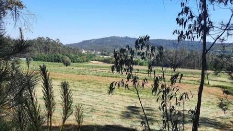 Terreno 3283m² com PIP Aprovado