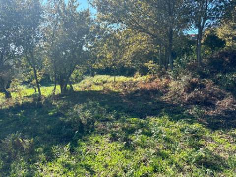 Terreno para duas moradias com 7.518m2, 2 artigos, Vila Verde